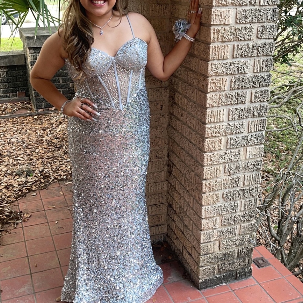 Stunning Silver Sequin Gown